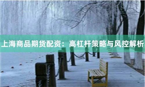 上海商品期货配资：高杠杆策略与风控解析